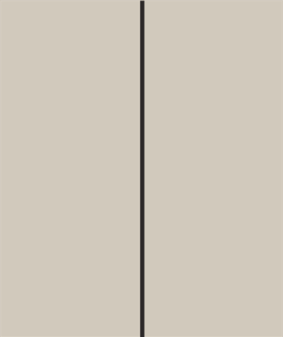 طوسی چرمی براقPE476